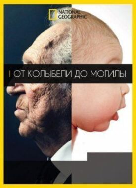 Постер к фильму От колыбели до могилы онлайн бесплатно в 720р и HD