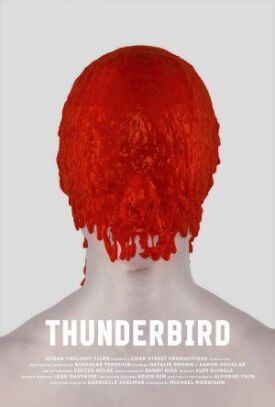 Постер к фильму Thunderbird онлайн бесплатно в 720р и HD
