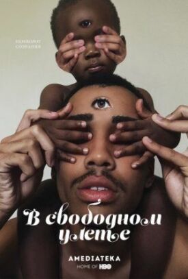Постер к фильму В свободном улете онлайн бесплатно в 720р и HD