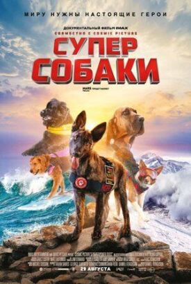 Постер к фильму Суперсобаки онлайн бесплатно в 720р и HD