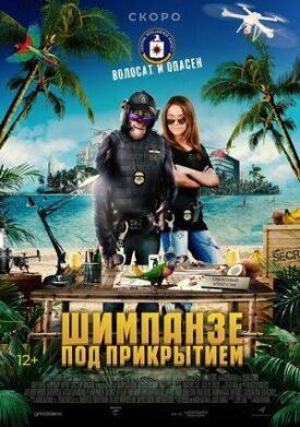Постер к фильму Шимпанзе под прикрытием онлайн бесплатно в 720р и HD