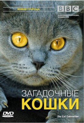Постер к фильму BBC: Загадочные кошки онлайн бесплатно в 720р и HD