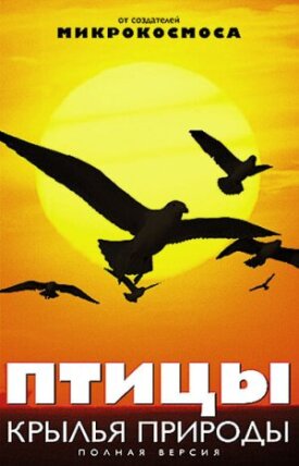 Постер к фильму Птицы: Крылья природы онлайн бесплатно в 720р и HD