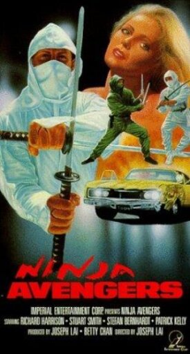 Постер к фильму Ниндзя-мстители онлайн бесплатно в 720р и HD