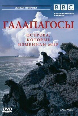 Постер к фильму BBC: Галапагосы онлайн бесплатно в 720р и HD
