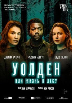 Постер к фильму Уолден, или Жизнь в лесу онлайн бесплатно в 720р и HD