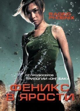 Постер к фильму Феникс в ярости онлайн бесплатно в 720р и HD