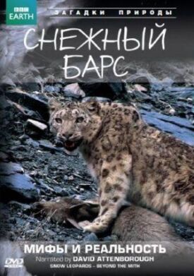 Постер к фильму BBC: Снежный барс: Мифы и реальности онлайн бесплатно в 720р и HD