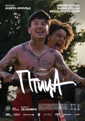 Постер к фильму Птица онлайн бесплатно в 720р и HD