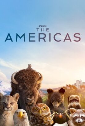 Постер к фильму Америка онлайн бесплатно в 720р и HD