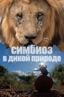 Постер к фильму Симбиоз в дикой природе онлайн бесплатно в 720р и HD