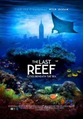 Постер к фильму Последний риф 3D онлайн бесплатно в 720р и HD