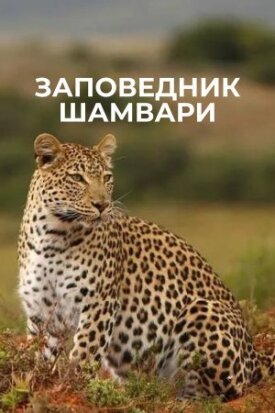 Постер к фильму Заповедник Шамвари онлайн бесплатно в 720р и HD