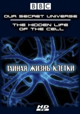 Постер к фильму Внутренняя вселенная: Тайная жизнь клетки онлайн бесплатно в 720р и HD