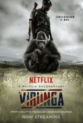 Постер к фильму Вирунга онлайн бесплатно в 720р и HD